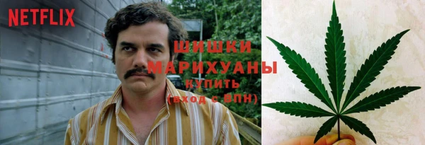 jwh Пересвет