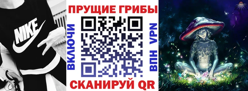 Псилоцибиновые грибы ЛСД Свирск